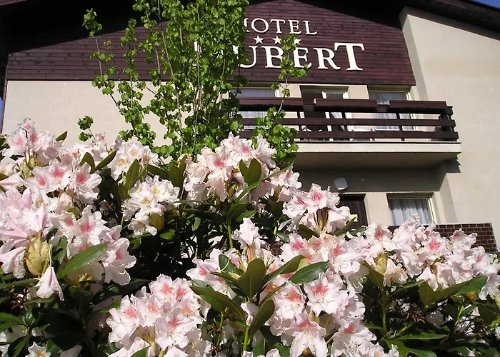 Hotel Hubert Františkovy Lázně